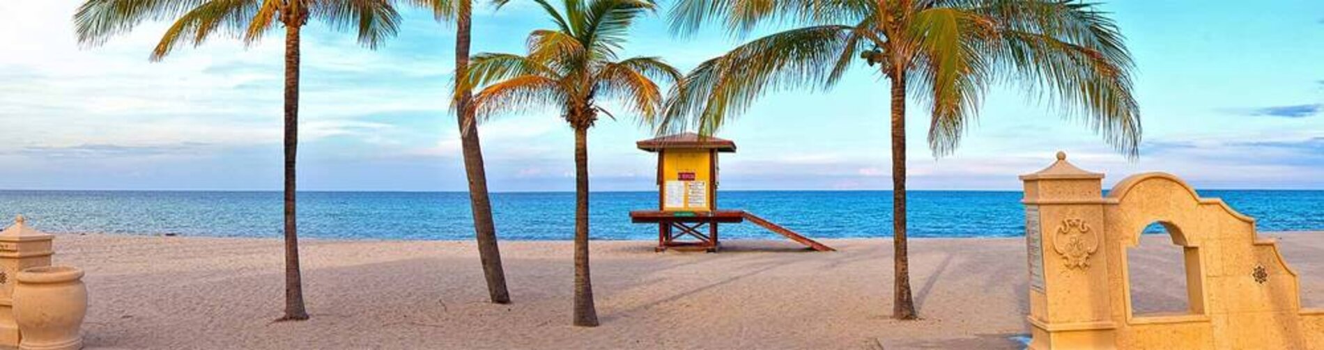 The sandy beach front with multiple palm trees facing the Atlantic Ocean. A perfect vacation spot at the Hollywood Beach.